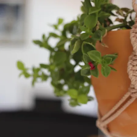 Casa Delbon Πανσιόν 3*